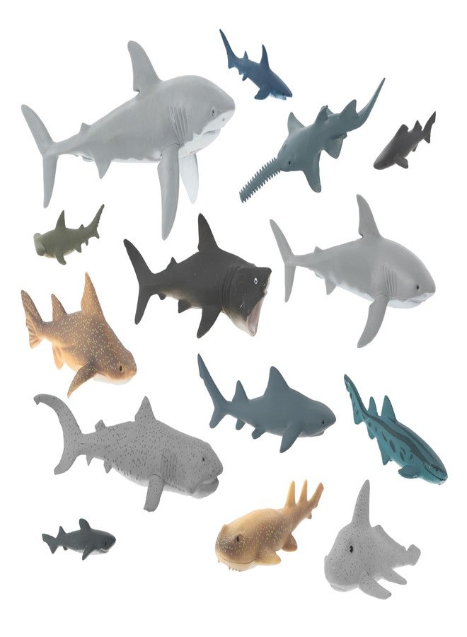 أنيمال بلانيت مجموعة ألعاب "بحر أسماك القرش" من أنيمال بلانيت - مجموعة مكونة من 14 قطعة من مجسمات أسماك القرش، تضم القرش الأبيض الكبير، وقرش المطرقة، وقرش ميغاموث، وغيرها، للأطفال من عمر 3 سنوات فما فوق. - Image 3